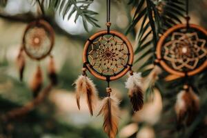 Dream catchers hanging from a tree branch with feathers swaying in the breeze photo