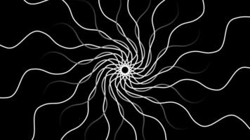 White Spiral Abstract Pattern on Black Background Loop video