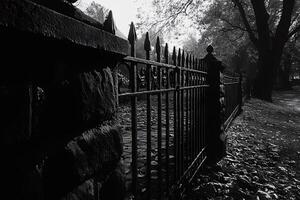 Wrought iron fence protecting cobblestone path in black and white photo