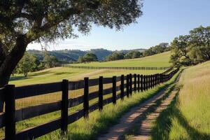 Dirt road running along wooden fence in green meadow photo