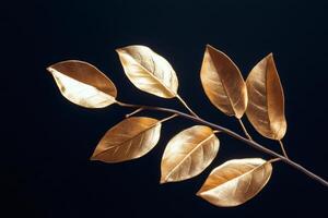 Golden leaves branch creating a luxurious and elegant atmosphere photo
