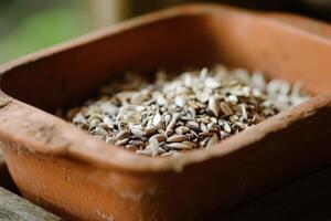 Clay container overflowing with birdseed on wooden surface photo