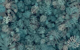 Background with monstera leaves. Moody non seamles pattern with tropical foliage in different size, shape and colors for decoration, web, scrapbooc, stationery vector