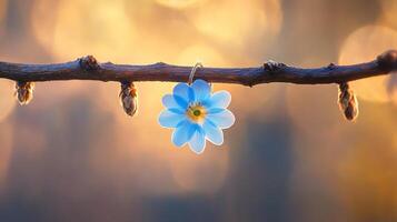 A blue flower is hanging from a branch, flower photo