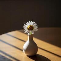 Fresh white daisy with dewdrops in a slender vase near window light and shadows natural floral home decor still life photo