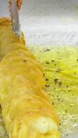fry potatoes on a spiral stick crispy salty fried Tornado Potato spiral chips on a stick cooking in boiling oil video