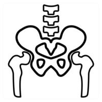 Pelvic Bone icon concept in black line color vector