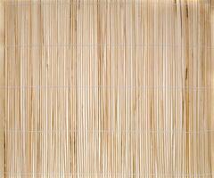 A bamboo mat with a white background photo