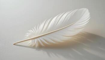 White Feather Close-up with Soft Shadow on Clean Neutral Background photo