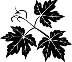 Black and white bold illustrations of a vine leaves, isolated on white background. vector