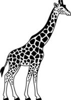 Black and white bold illustrations of a giraffe, isolated on white background. vector