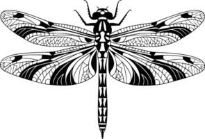 Black and white bold illustrations of a dragonfly, isolated on white background. vector