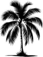 Black and white bold illustrations of a palm tree, isolated on white background. vector