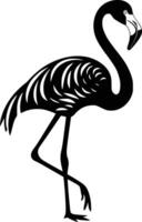 Black and white bold illustrations of a flamingo, isolated on white background. vector