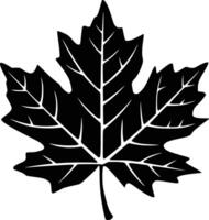 Black and white bold illustrations of a maple leaf, isolated on white background. vector