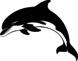 Black and white bold illustrations of a leaping dolphin, isolated on white background. vector