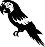 Black and white bold illustrations of a colorful parrot, isolated on white background. vector
