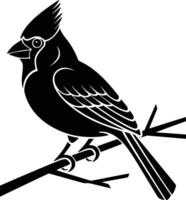 Black and white bold illustrations of a cardinal on branch, isolated on white background. vector