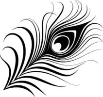 Black and white illustrations of a peacock feathers, isolated on white background. vector