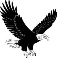 Black and white bold illustrations of a bald eagle soaring, isolated on white background. vector