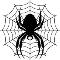 Black and white bold illustrations of a spider weaving web, isolated on white background. vector