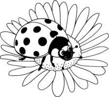 Black and white bold illustrations of a ladybug on flower, isolated on white background. vector