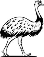 Black and white bold illustrations of a emu walking, isolated on white background. vector
