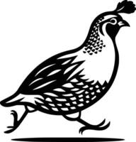 Black and white bold illustrations of a quail running, isolated on white background. vector