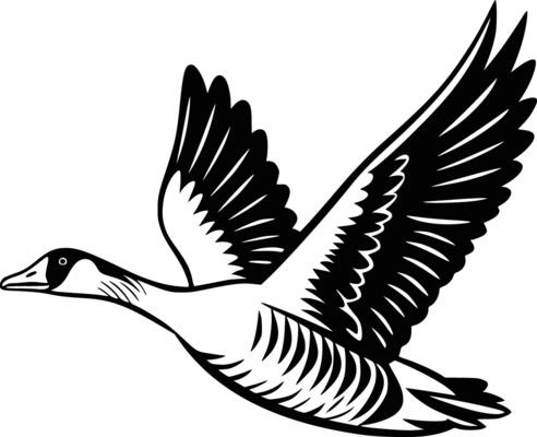 Black and white bold illustrations of a goose flying, isolated on white background.