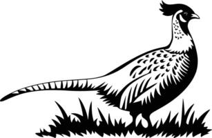 Black and white bold illustrations of a pheasant in grass, isolated on white background. vector