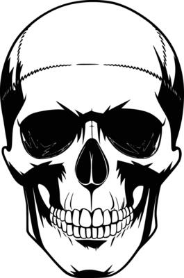 Black and white bold illustrations of a detailed skull, isolated on white background.