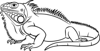 Black and white bold illustrations of a iguana resting, isolated on white background. vector