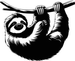 Black and white bold illustrations of a sloth hanging, isolated on white background. vector