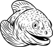 Black and white bold illustrations of a moray eel peeking, isolated on white background. vector