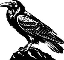 Black and white bold illustrations of a raven on rock, isolated on white background. vector