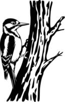 Black and white bold illustrations of a woodpecker pecking tree, isolated on white background. vector