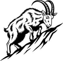 Black and white bold illustrations of a mountain goat climbing, isolated on white background. vector