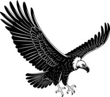 Black and white bold illustrations of a vulture circling, isolated on white background. vector