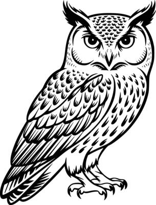 Black and white bold illustrations of a detailed owl, isolated on white background.