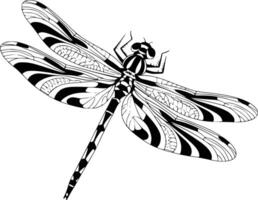 Black and white bold illustrations of a dragonfly hovering, isolated on white background. vector
