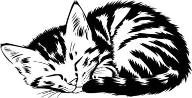 Black and white bold illustrations of a sleeping kitten, isolated on white background. vector