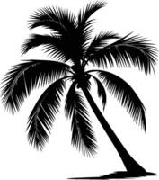 Black and white bold illustrations of a island beach palm, isolated on white background. vector