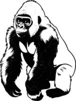 Black and white bold illustrations of a sitting gorilla, isolated on white background. vector