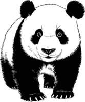 Black and white bold illustrations of a panda, isolated on white background. vector