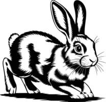 Black and white bold illustrations of a rabbit hopping, isolated on white background. vector