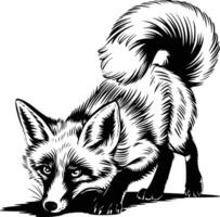 Black and white bold illustrations of a fox sneaking, isolated on white background. vector