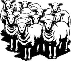 Black and white bold illustrations of a sheep flock, isolated on white background. vector