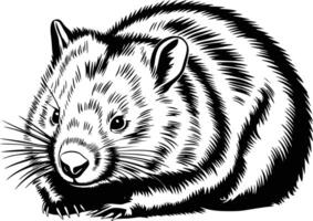 Black and white bold illustrations of a wombat resting, isolated on white background. vector