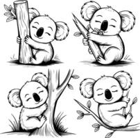 Bold black and white hand-drawn illustrations of 4 koalas doodling hugging eucalyptus trees, eating leaves, sleeping in trees, and climbing branches, isolated on white. vector