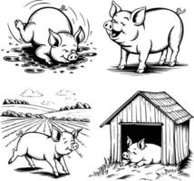 Bold black and white hand-drawn illustrations of 4 pigs doodling rolling in mud, oinking happily, running through fields, and resting in barns, isolated on white. vector